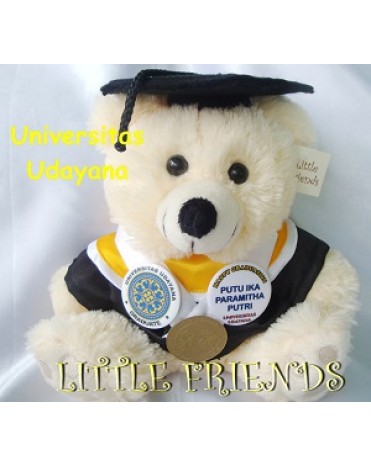 Boneka Wisuda Universitas Udayana - Matematika (25 cm)